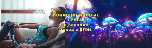 соль ск Медвежьегорск