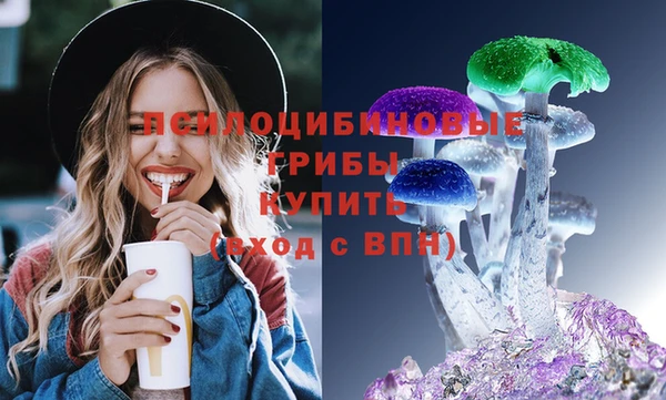 соль ск Медвежьегорск