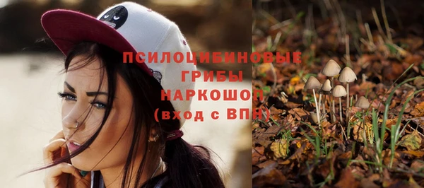 мдпв Медногорск