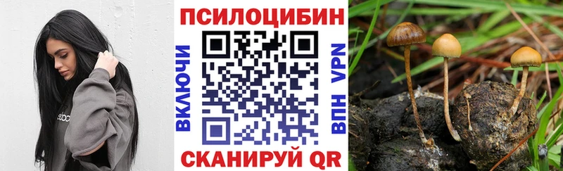 кракен tor  Барнаул  Галлюциногенные грибы Cubensis 